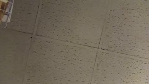 Snapshot of igcognito647033 chatting on February 20, 2026, 7:54 am igcognito647033 online show from February 20, 2026, 7:54 am