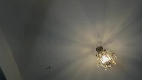 Snapshot of igor_scott chatting on February 16, 2025, 4:42 am Igor scott online show from February 16, 2025, 4:42 am