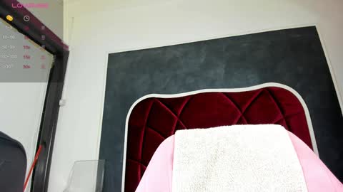 illegal_lorry online show from January 31, 2025, 5:30 am