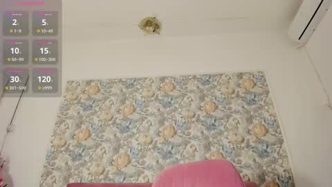 Snapshot of illegal_lorry chatting on February 16, 2026, 5:58 am illegal_lorry online show from February 16, 2026, 5:58 am