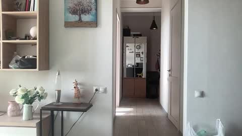 Snapshot of imnotall chatting on November 24, 2025, 8:47 am imnotall online show from November 24, 2025, 8:47 am