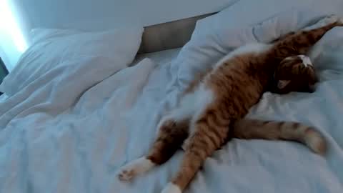 Snapshot of imogensy chatting on February 20, 2025, 9:00 am my name Imo Fansly online show from February 20, 2025, 9:00 am