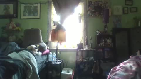 Snapshot of indigo_scorpio chatting on February 5, 2025, 6:48 pm indigo_scorpio online show from February 5, 2025, 6:48 pm