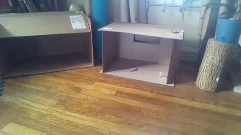 Snapshot of indigo_scorpio chatting on February 7, 2025, 5:51 pm indigo_scorpio online show from February 7, 2025, 5:51 pm