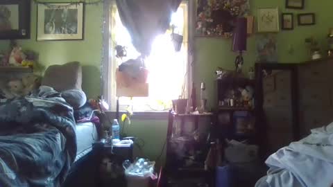 Snapshot of indigo_scorpio chatting on February 21, 2025, 6:59 pm indigo_scorpio online show from February 21, 2025, 6:59 pm