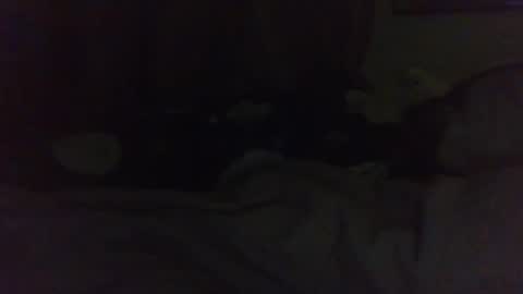 Snapshot of indigo_scorpio chatting on February 22, 2025, 11:24 am indigo_scorpio online show from February 22, 2025, 11:24 am