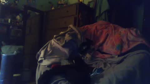 Snapshot of indigo_scorpio chatting on February 24, 2025, 12:52 am indigo_scorpio online show from February 24, 2025, 12:52 am