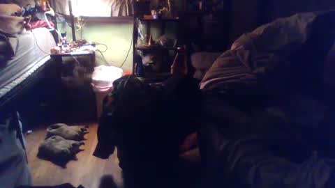 Snapshot of indigo_scorpio chatting on March 4, 2025, 2:06 am indigo_scorpio online show from March 4, 2025, 2:06 am