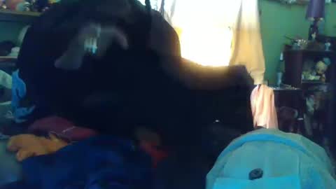 Snapshot of indigo_scorpio chatting on October 13, 2025, 10:10 pm indigo_scorpio online show from October 13, 2025, 10:10 pm