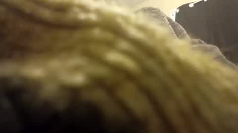 internationalwang online show from March 10, 2025, 2:48 pm