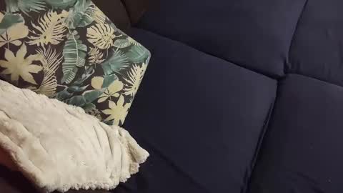 Marek online show from December 23, 2024, 4:06 pm