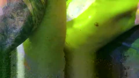 Marek online show from March 2, 2025, 6:08 pm