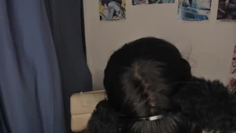 isa 3 online show from March 3, 2025, 2:47 am