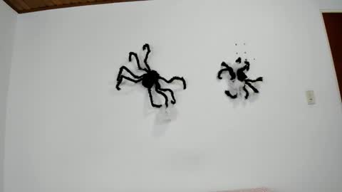 isabella_jaramillo online show from November 2, 2025, 12:29 pm