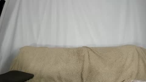 Lumi bellx online show from June 19, 2026, 5:56 am