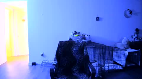 Bella Bloom online show from July 25, 2026, 7:06 am