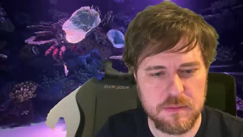 pain online show from December 4, 2025, 12:53 am