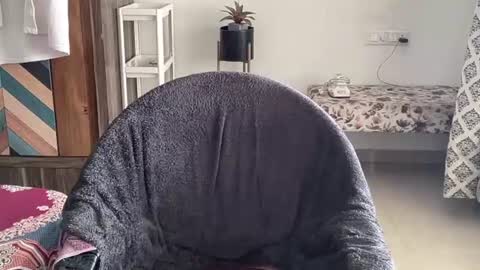 Raje online show from October 18, 2025, 7:20 am