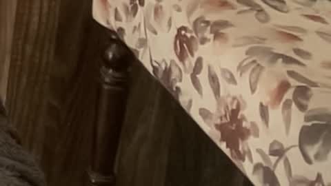 Raje online show from November 11, 2025, 10:59 am