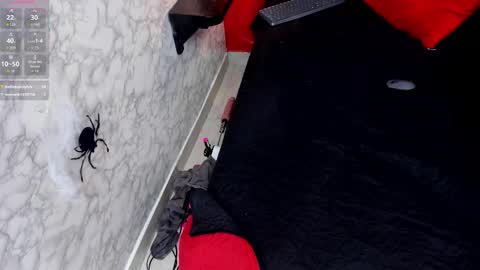 Ivis  online show from October 25, 2025, 1:18 pm