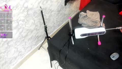 Ivis  online show from November 13, 2025, 12:04 pm