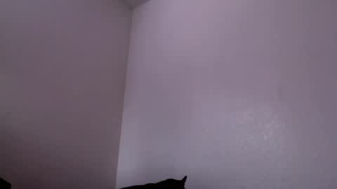 Snapshot of j0nnyk1ng chatting on February 4, 2025, 6:27 pm Mugen online show from February 4, 2025, 6:27 pm