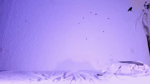 Snapshot of j_martony chatting on November 5, 2025, 2:17 pm j_martony online show from November 5, 2025, 2:17 pm