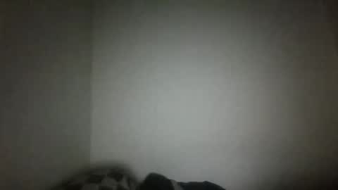 Snapshot of jacklack221 chatting on February 15, 2025, 4:47 am jack online show from February 15, 2025, 4:47 am