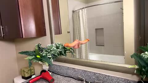 Snapshot of jacksoftboy chatting on February 12, 2026, 3:45 am Jack Xavier Missy online show from February 12, 2026, 3:45 am