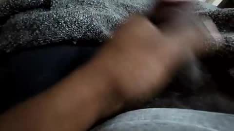 jackwiskyhoney online show from November 16, 2025, 1:44 am