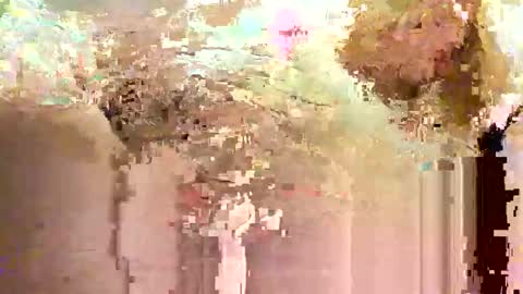 jadedmoshier online show from November 28, 2025, 9:01 am