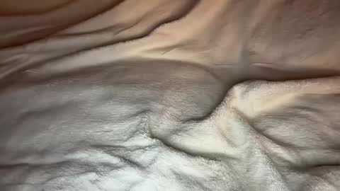 Snapshot of jamesdean0101 chatting on January 14, 2026, 10:47 pm jamesdean0101 online show from January 14, 2026, 10:47 pm