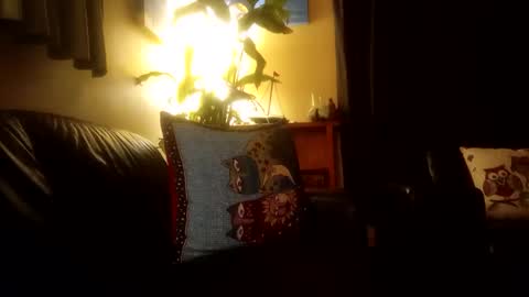 Snapshot of jamesloveridge901 chatting on October 25, 2025, 2:24 pm jamesloveridge901 online show from October 25, 2025, 2:24 pm