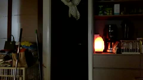 jamesmo820913 online show from October 25, 2025, 3:58 am