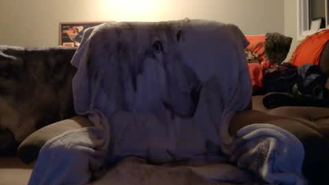 jameswolf777 online show from December 16, 2025, 2:44 pm