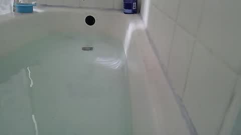 Snapshot of jamwarnerone chatting on February 22, 2026, 2:48 pm Bootyshows online show from February 22, 2026, 2:48 pm