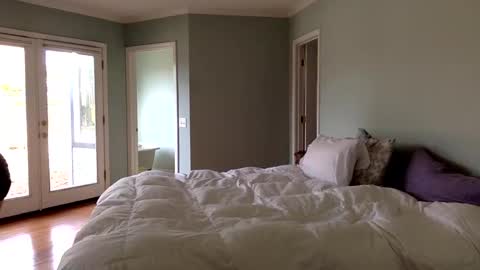 janicepepper online show from January 4, 2025, 9:52 pm