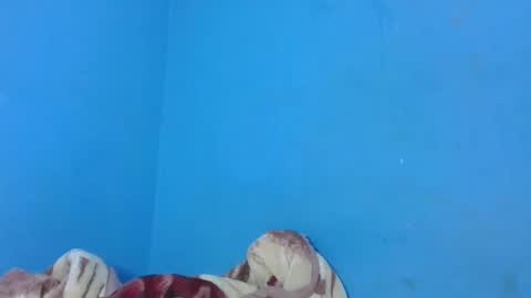 JarevavaX online show from January 25, 2025, 2:58 pm