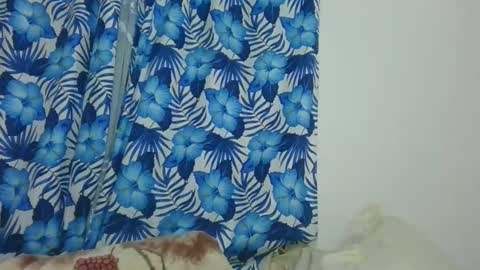 JarevavaX online show from February 12, 2025, 9:01 pm