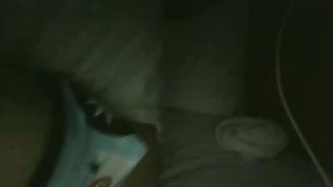 Snapshot of jarrettdainty559 chatting on December 18, 2025, 8:31 am jarrettdainty559 online show from December 18, 2025, 8:31 am