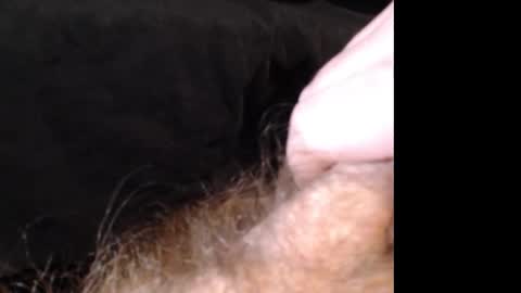 Jason online show from December 14, 2024, 2:53 pm