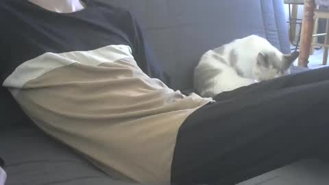 Snapshot of jasper_0_e23cm chatting on September 21, 2025, 7:43 am jasper 0 e23cm online show from September 21, 2025, 7:43 am