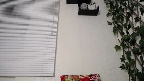 Snapshot of jasson_king01 chatting on January 15, 2025, 2:49 am JKing online show from January 15, 2025, 2:49 am