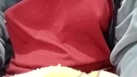 Snapshot of jasspreettt chatting on January 30, 2025, 1:55 am jasspreettt online show from January 30, 2025, 1:55 am