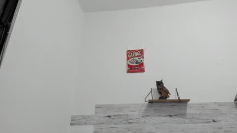 Jaycreedd online show from October 25, 2025, 12:07 am