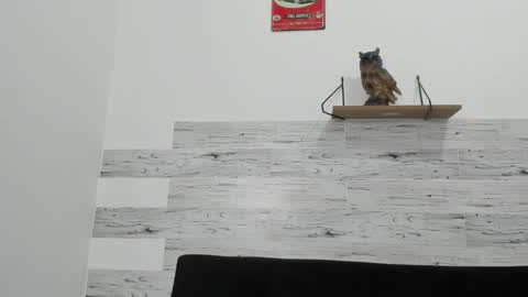 Jaycreedd online show from November 7, 2025, 4:01 am