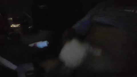 Snapshot of jaywulf22 chatting on January 17, 2026, 5:23 am jaywulf22 online show from January 17, 2026, 5:23 am