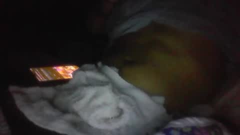 Snapshot of jaywulf22 chatting on January 19, 2026, 5:11 am jaywulf22 online show from January 19, 2026, 5:11 am