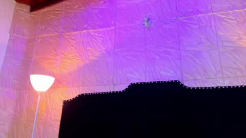 Snapshot of jennyrouse chatting on March 26, 2026, 11:16 am Jenny online show from March 26, 2026, 11:16 am