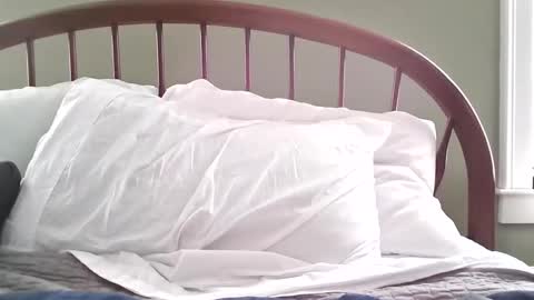 Snapshot of jerkingmanforyou chatting on March 15, 2026, 1:39 pm jerkingmanforyou online show from March 15, 2026, 1:39 pm